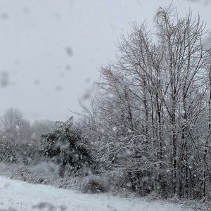 Meet your Posher, Erina